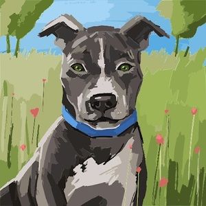 Meet your Posher, Jack